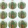 Our Lady of Guadalupe Stickers CR046L(12 stickers)