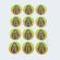 La Virgen De Guadalupe CR046L-4(12 stickers)