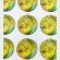 Madonna Religous Stickers CR046M(12 stickers)