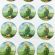 Saint Jude Stickers CR046S(12 stickers)